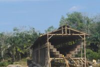 Proses pembangunan kandang ayam petelor di lahan TKD Desa Perintis