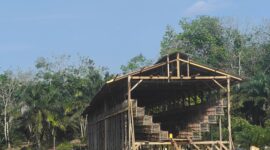 Proses pembangunan kandang ayam petelor di lahan TKD Desa Perintis