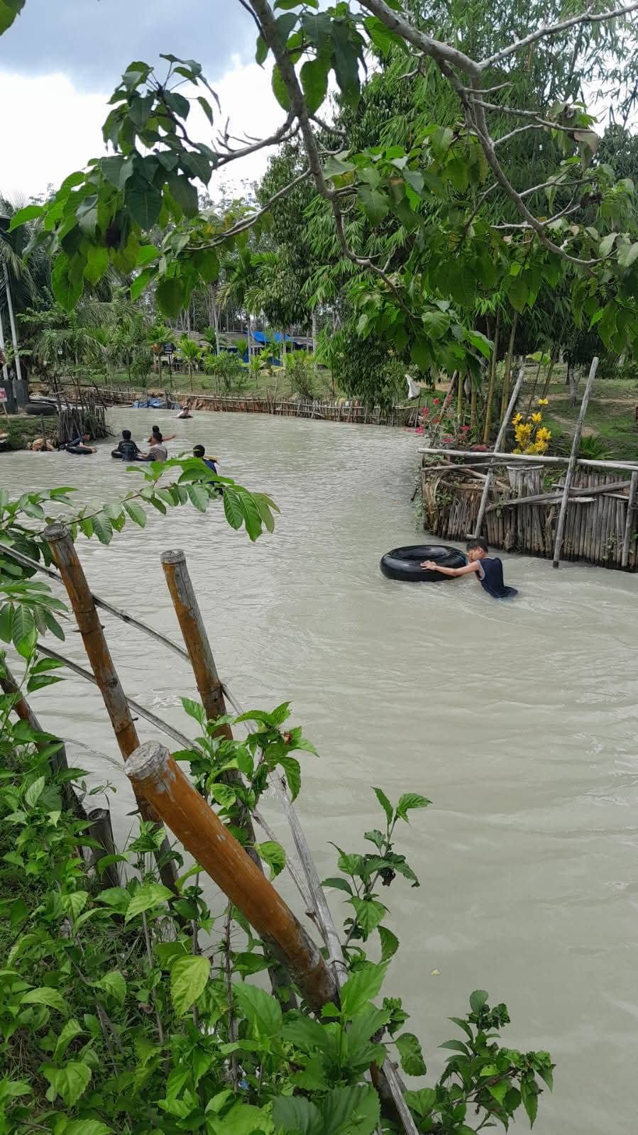 FB_IMG_1770808997619 Taman Wisata Rivera Park Kembali Terancam Rusak Akibat Pertambangan Emas Tanpa Izin