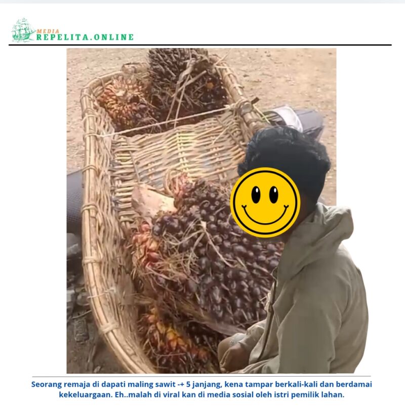 Foto Korban Saat diamankan beserta Buah Sawit di Ram jalan 6 unit 1 Rimbo Bujang.