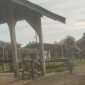 Tangkapan Layar Remaja Puteri Sedang Melakukan Perkelahian.
