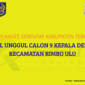 Ilustrasi Rekap Hasil Pilkades Serentak Kabupaten Tebo Kecamatan Rimbo Ulu