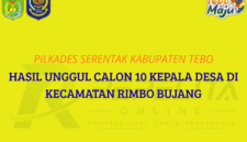 Ilustrasi Rekap Hasil Pilkades Serentak Kabupaten Tebo Kecamatan Rimbo Bujang