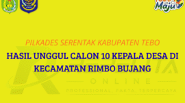 Ilustrasi Rekap Hasil Pilkades Serentak Kabupaten Tebo Kecamatan Rimbo Bujang