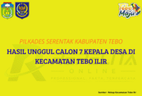 Ilustrasi Rekap Hasil Pilkades Serentak Kabupaten Tebo Kecamatan Tebo Ilir