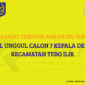 Ilustrasi Rekap Hasil Pilkades Serentak Kabupaten Tebo Kecamatan Tebo Ilir