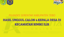 Ilustrasi Rekap Hasil Pilkades Serentak Kabupaten Tebo Kecamatan Rimbo Ilir