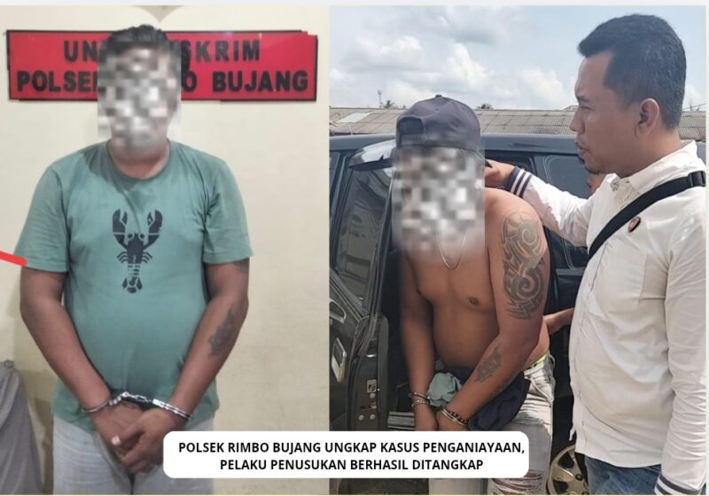 Pelaku Saat Diamankan Oleh Satreskrim Polsek Rimbo Yang Dipimpin Oleh Kanit Reskrim Polsek Rimbo Bujang, AIPTU ARI WAHYUDI, S.H.