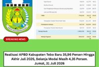 Tangkapan Layar Realisasi APBD Tebo Padam Portal Kementerian Keuangan