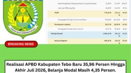 Tangkapan Layar Realisasi APBD Tebo Padam Portal Kementerian Keuangan