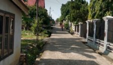 Suasana di Lorong/Gang Cempedak, Jalan 5 Unit 2, Kelurahan Wirotho Agung