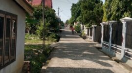 Suasana di Lorong/Gang Cempedak, Jalan 5 Unit 2, Kelurahan Wirotho Agung